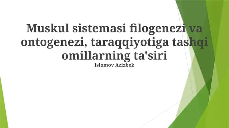 Muskul sistemasi filogenezi va ontogenezi, taraqqiyotiga tashqi omillarning ta'siri 1