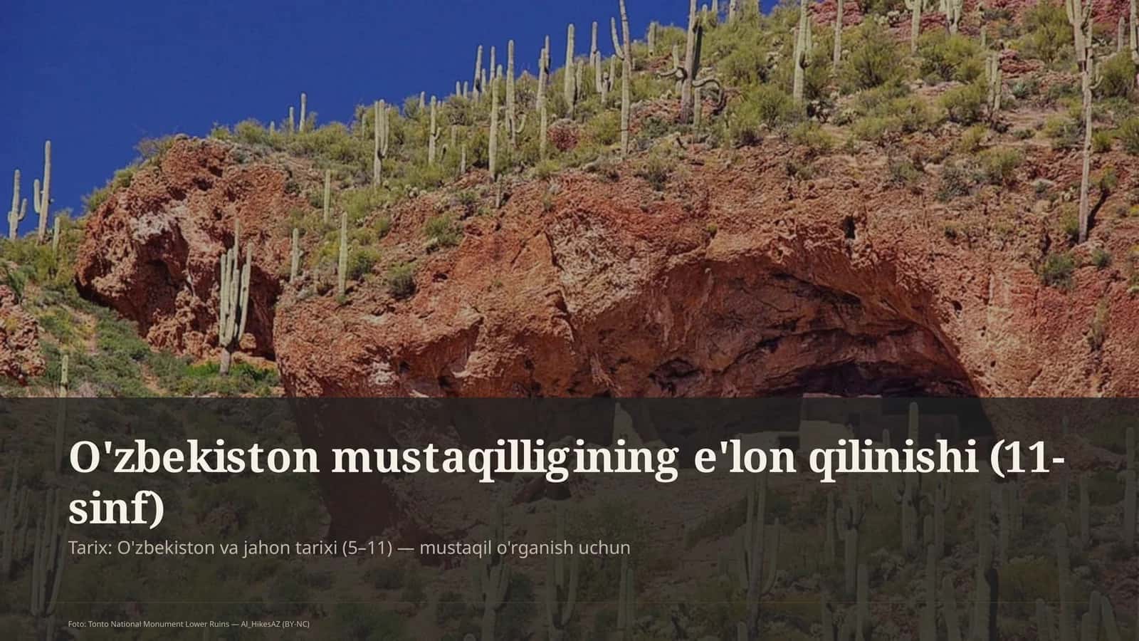 O'zbekiston mustaqilligining e'lon qilinishi (11-sinf) 1