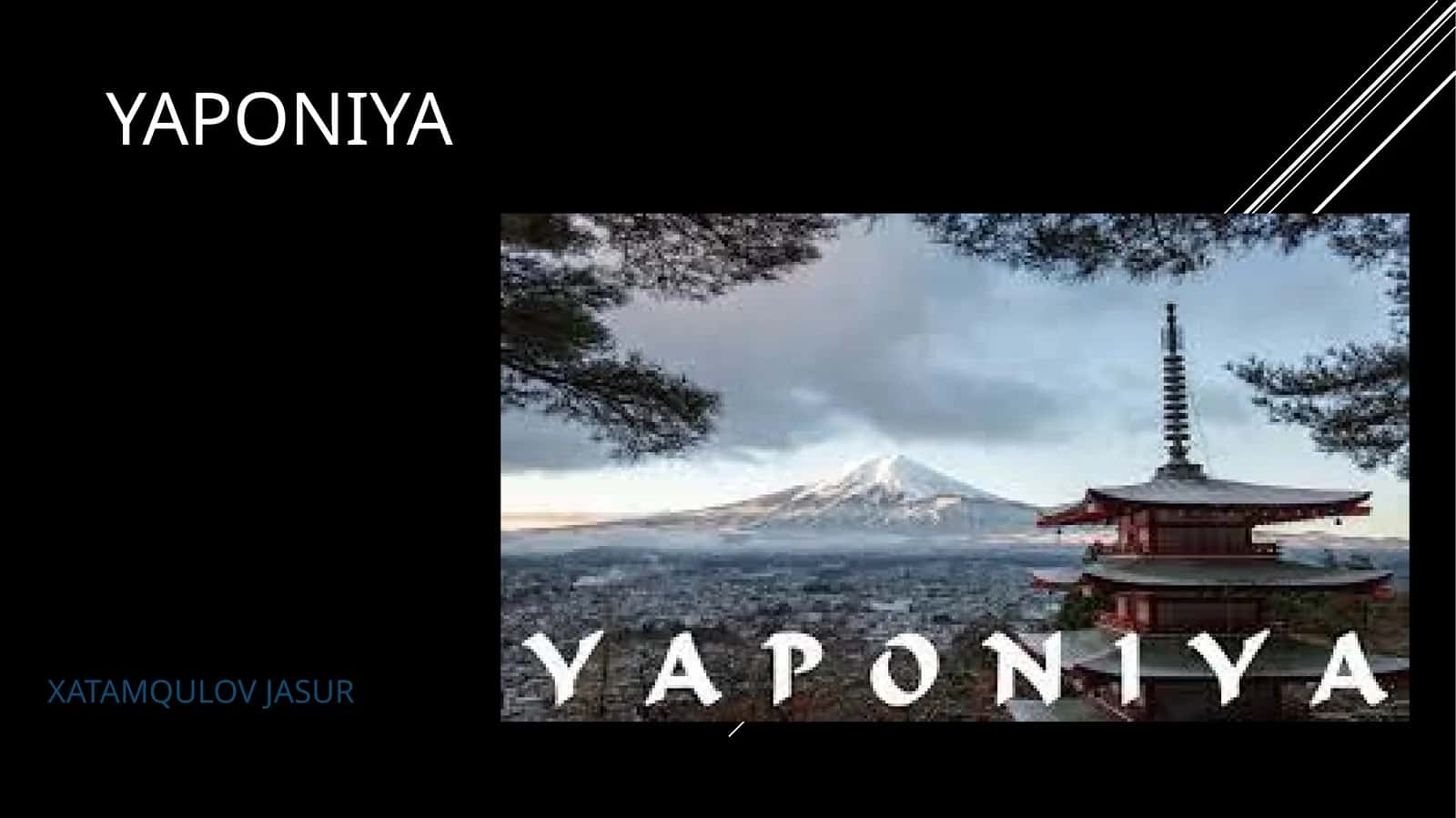 YAPONIYA 1