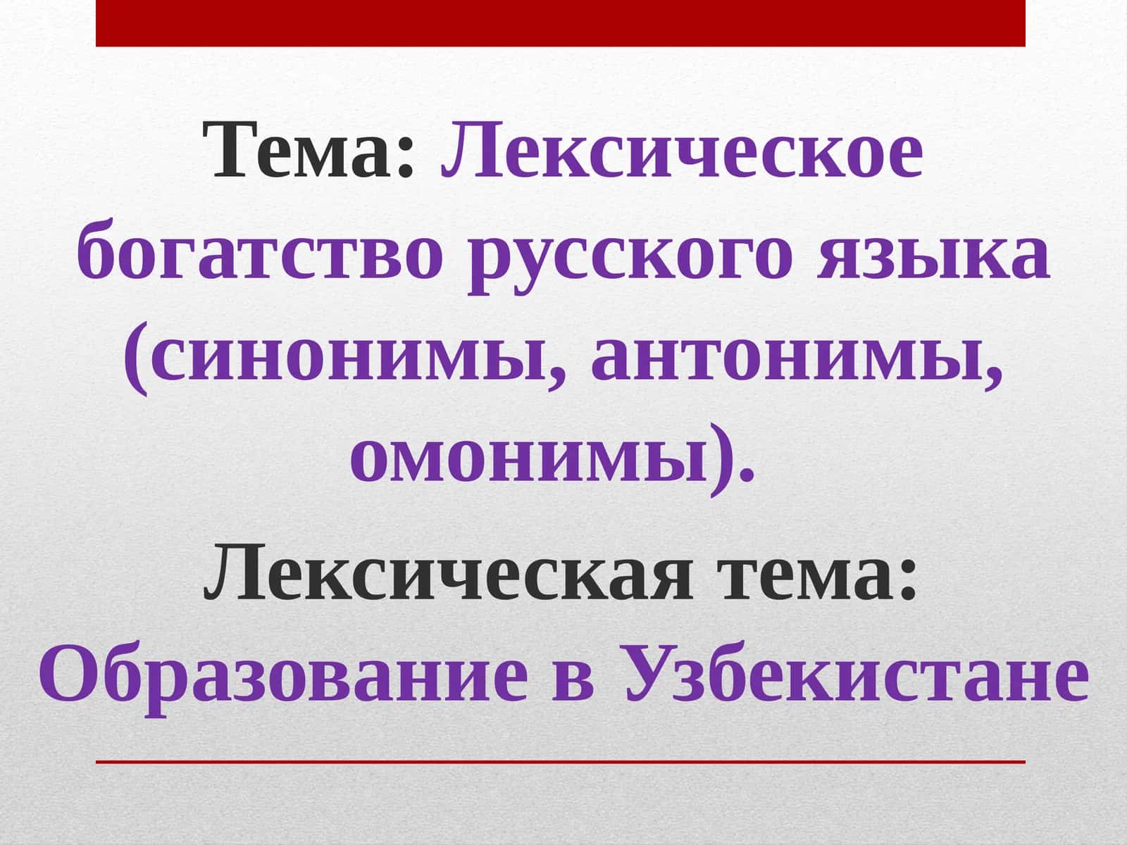 Лексическоебогатство русского языка (синонимы, антонимы, омонимы) 1