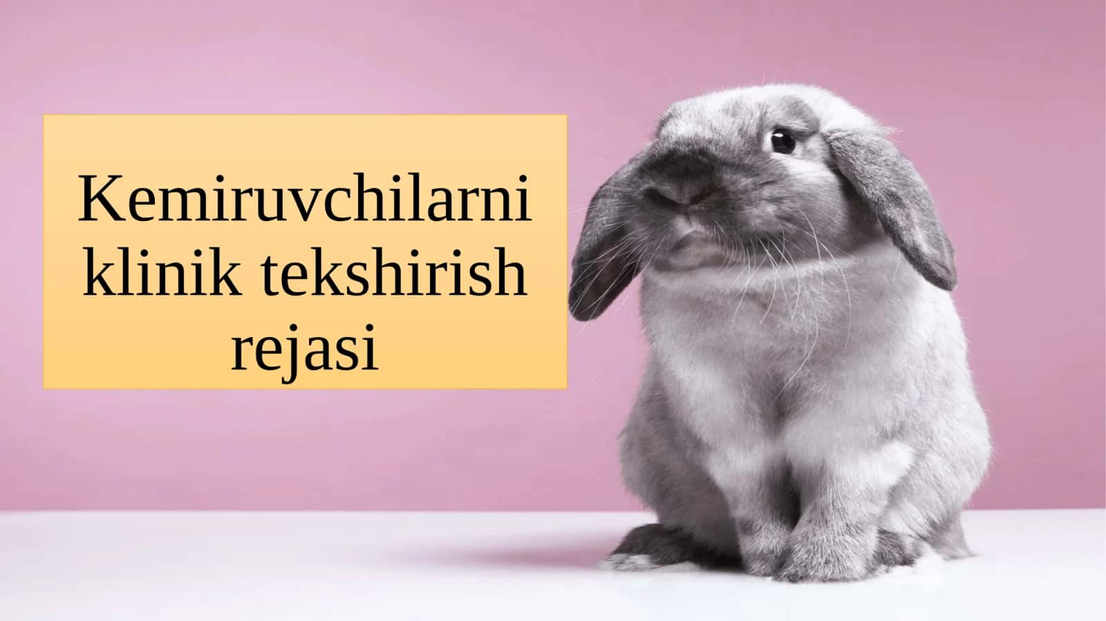 Kemiruvchilarni klinik tekshirish rejasi 1