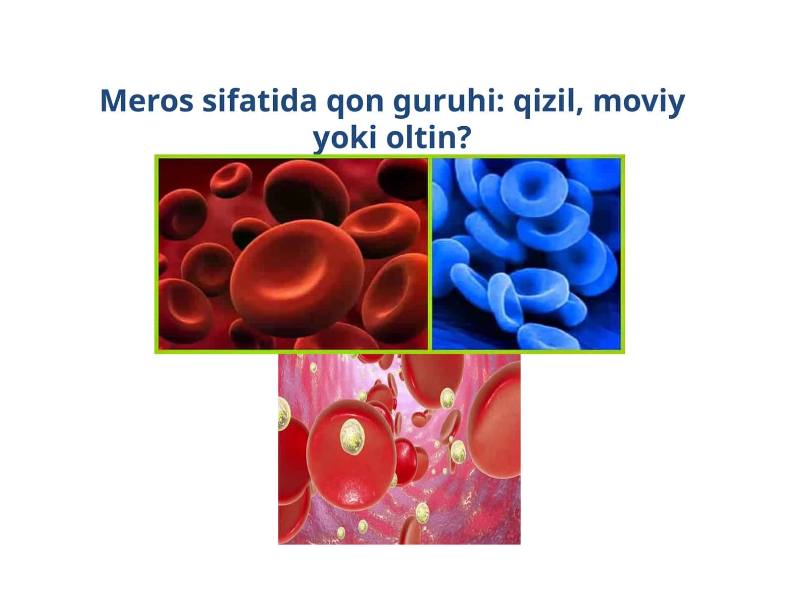 Qon guruhlari va ularning irsiylanishi mahorat darsi 1