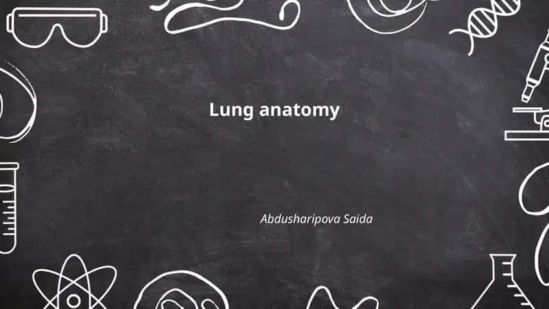 Lung anatomy 1