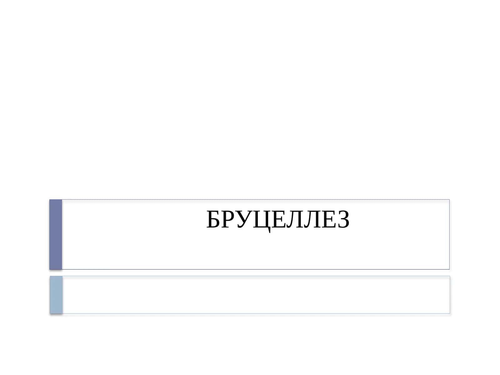 БРУЦЕЛЛЕЗ 1