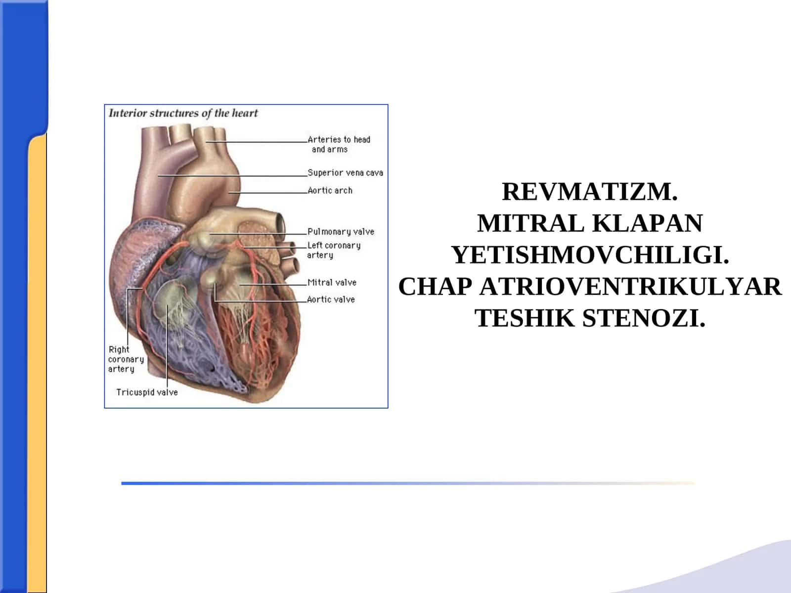 REVMATIZM.MITRAL KLAPAN YETISHMOVCHILIGI.CHAP ATRIOVENTRIKULYAR TESHIK STENOZІ 1