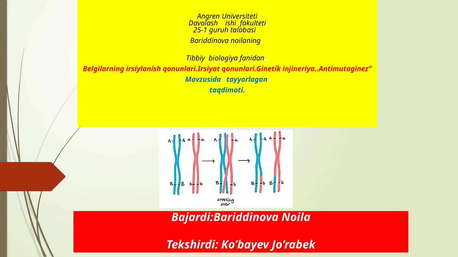 Irsiyat qonunlari 1