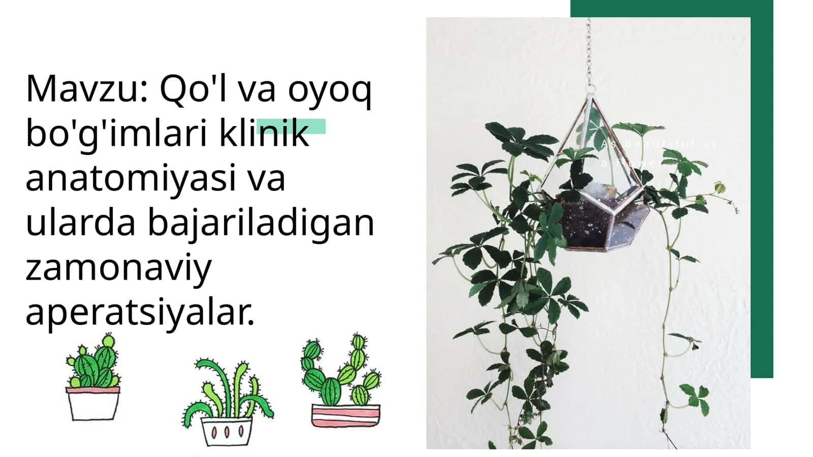 Qo‘l va oyoq bo'g'imlari klinik anatomiyasi va ularda bajariladigan zamonaviy aperatsiyalar 1