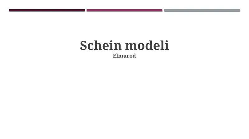 Schein modeli 1
