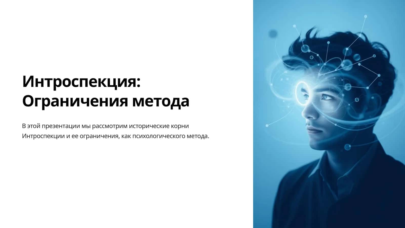 Интроспекция Ограничения метода 1