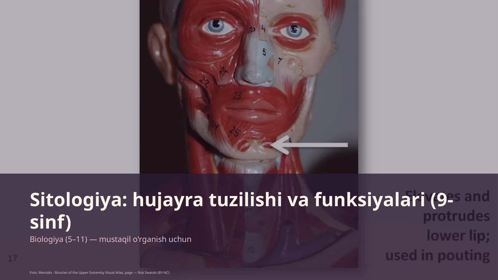 Sitologiya: hujayra tuzilishi va funksiyalari (9-sinf) 1