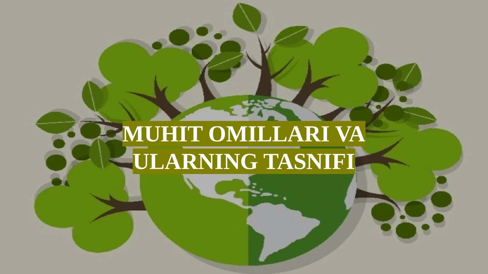 MUHIT OMILLARI VA ULARNING TASNIFI 1