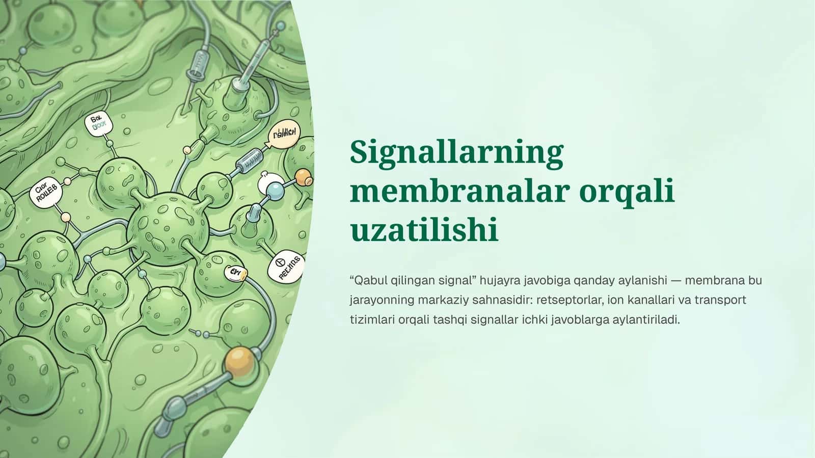 Signallarni membrana orqali uzatilishi 1