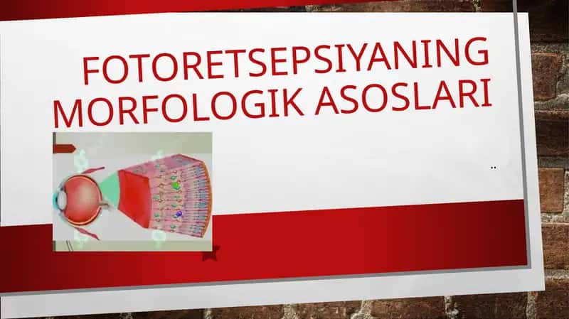Fotoretsepsiyaning morfologik asoslari 1