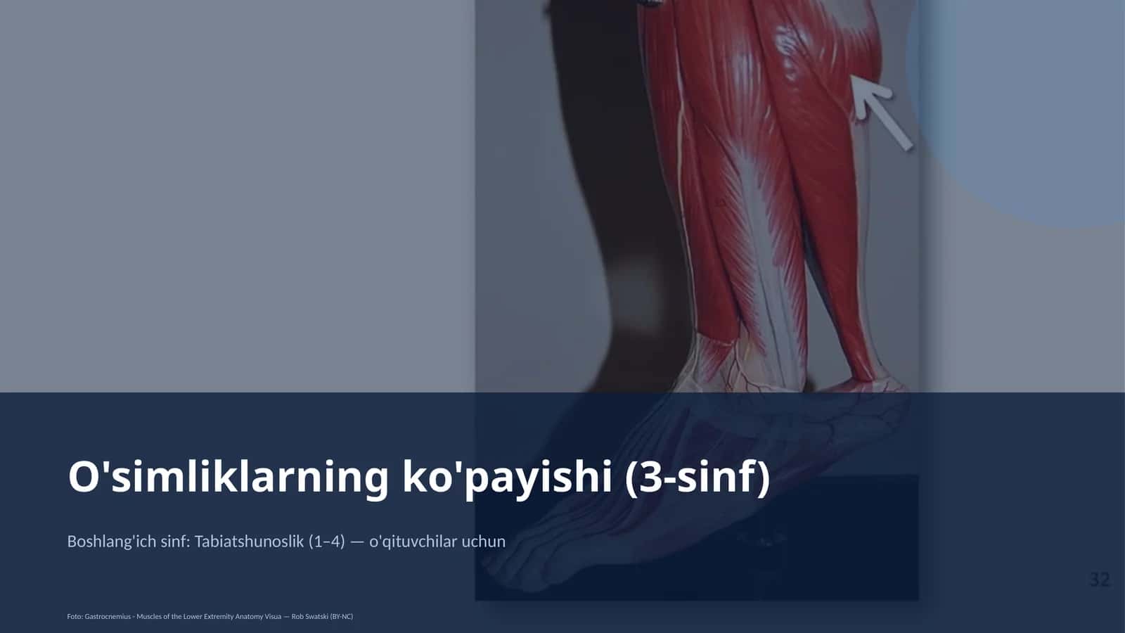O'simliklarning ko'payishi (3-sinf) 1