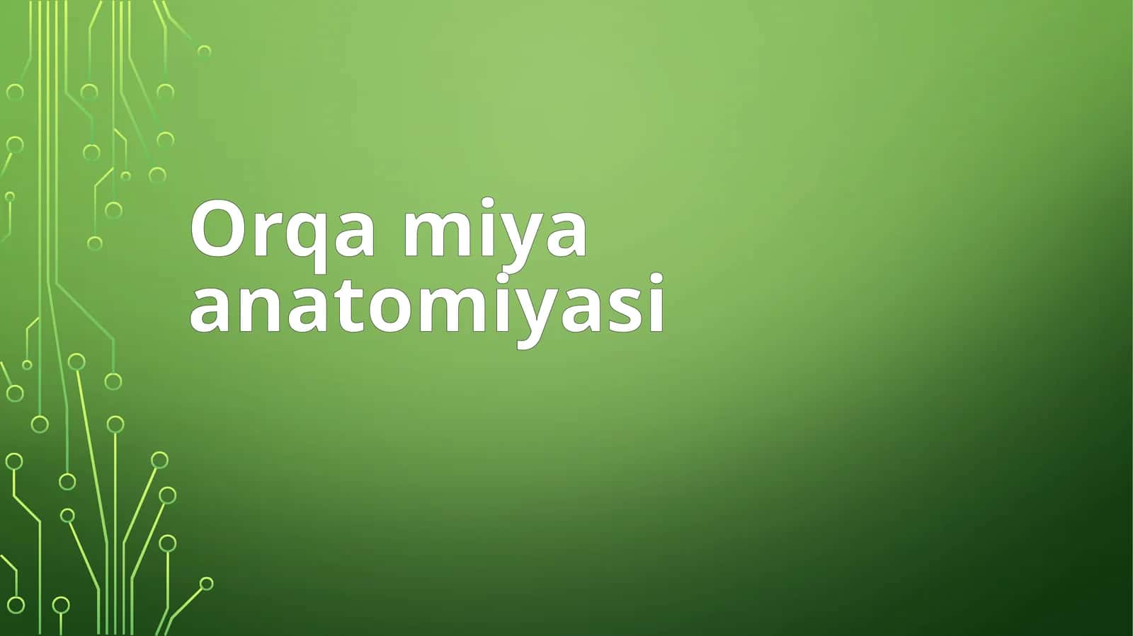 Orqamiyaanatomiyasi 1