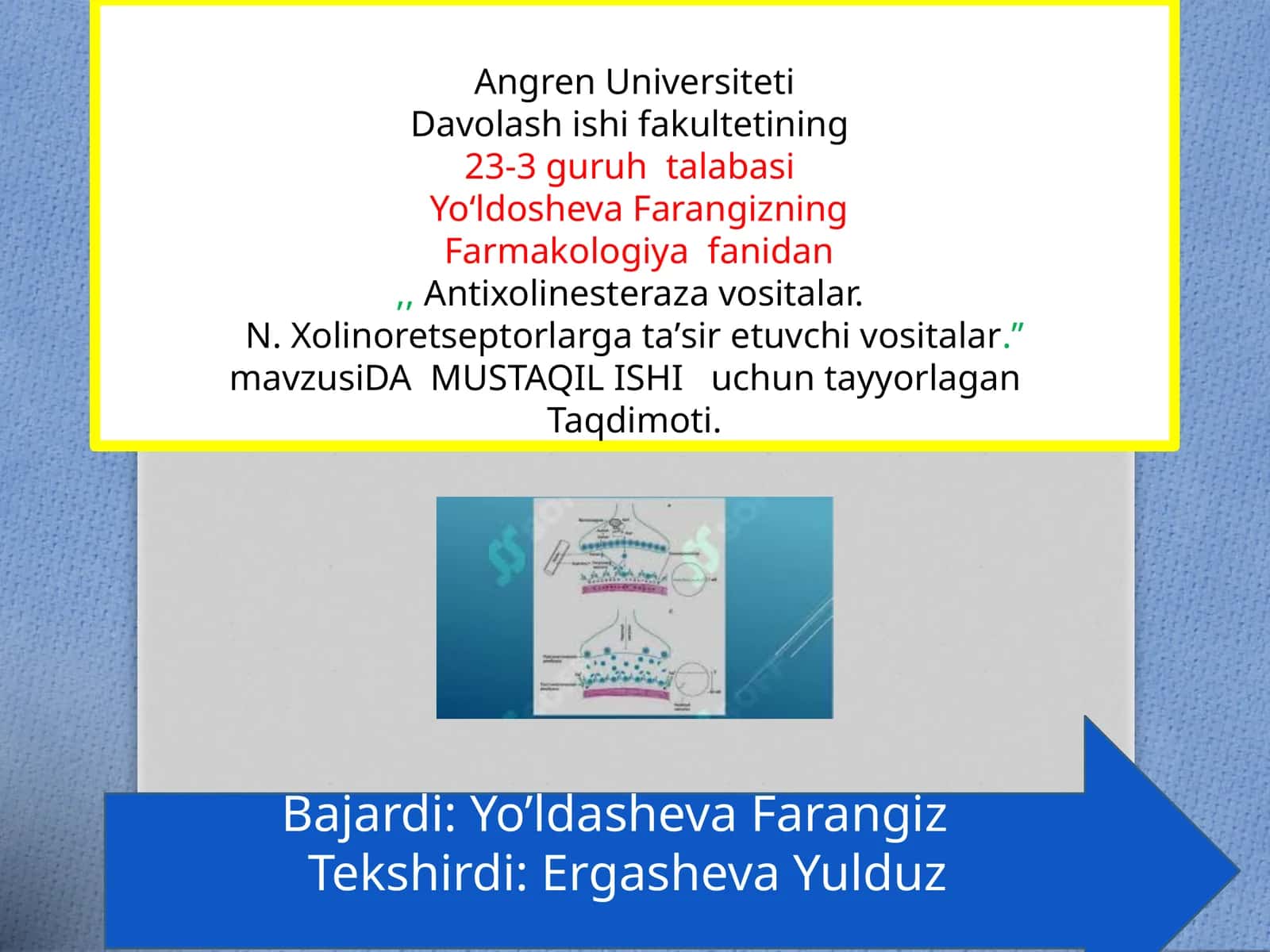 DAMUSTAQIL ISHI 1