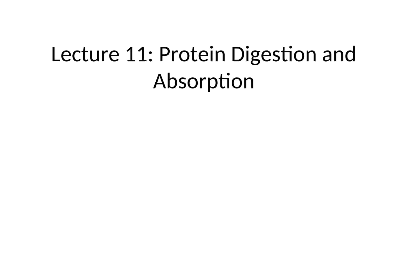 Protein Digestion and Absorption 1