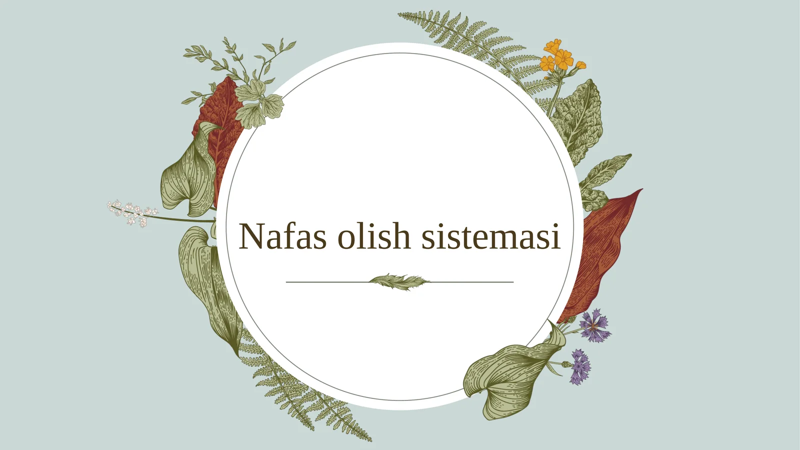 Umurtqalilar nafas olish sistemasi filogenezi 1