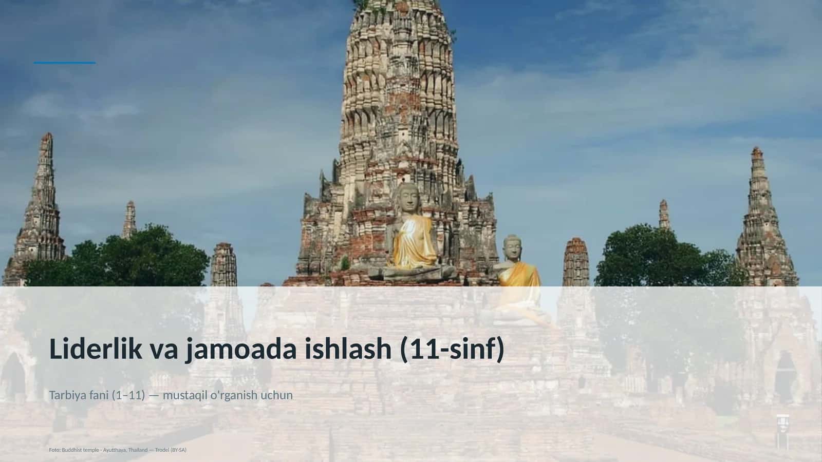 Liderlik va jamoada ishlash (11-sinf) 1