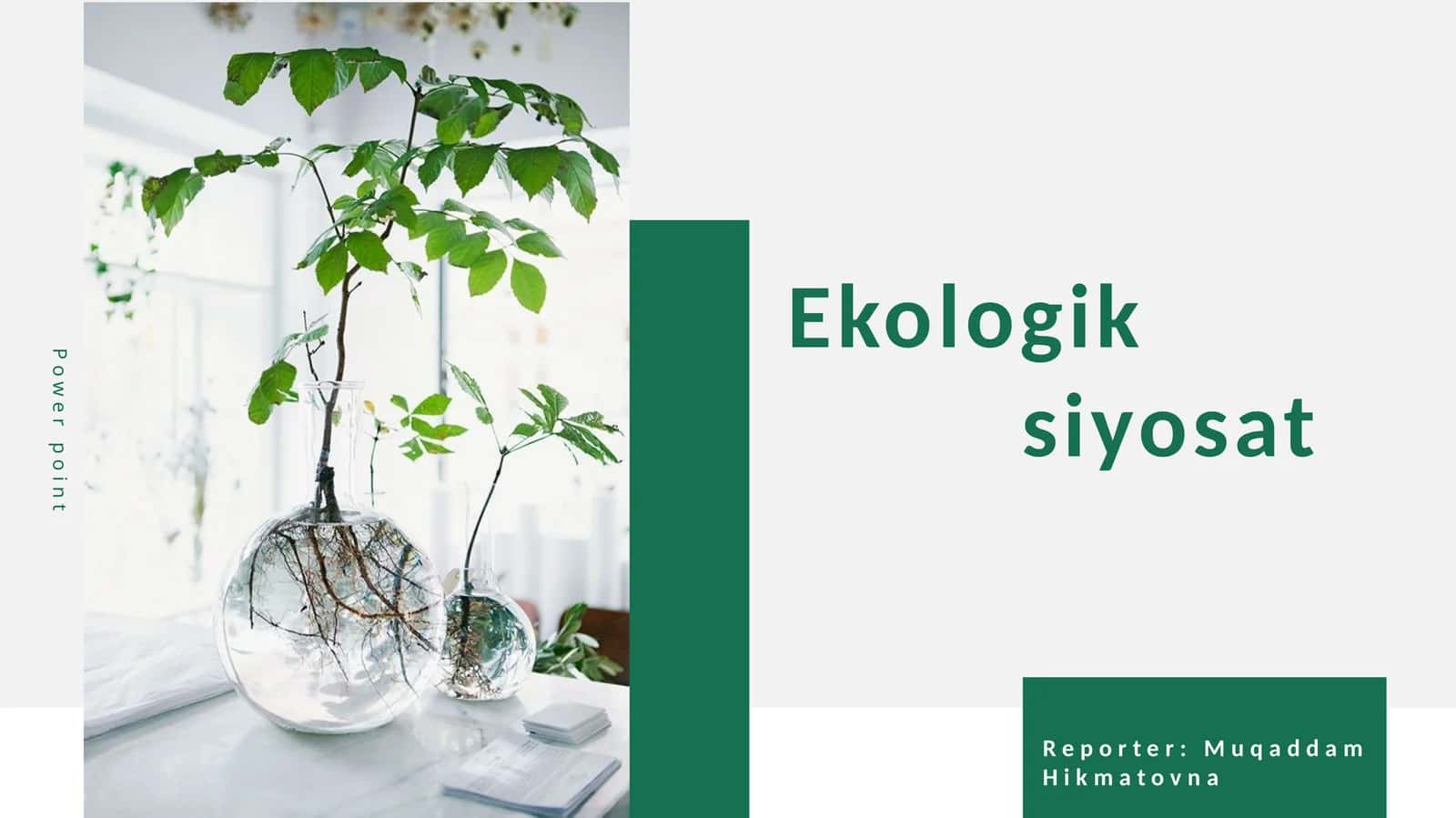 Ekologik siyosat 1