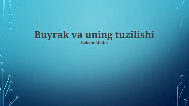 Buyrak va uning tuzilishi 1