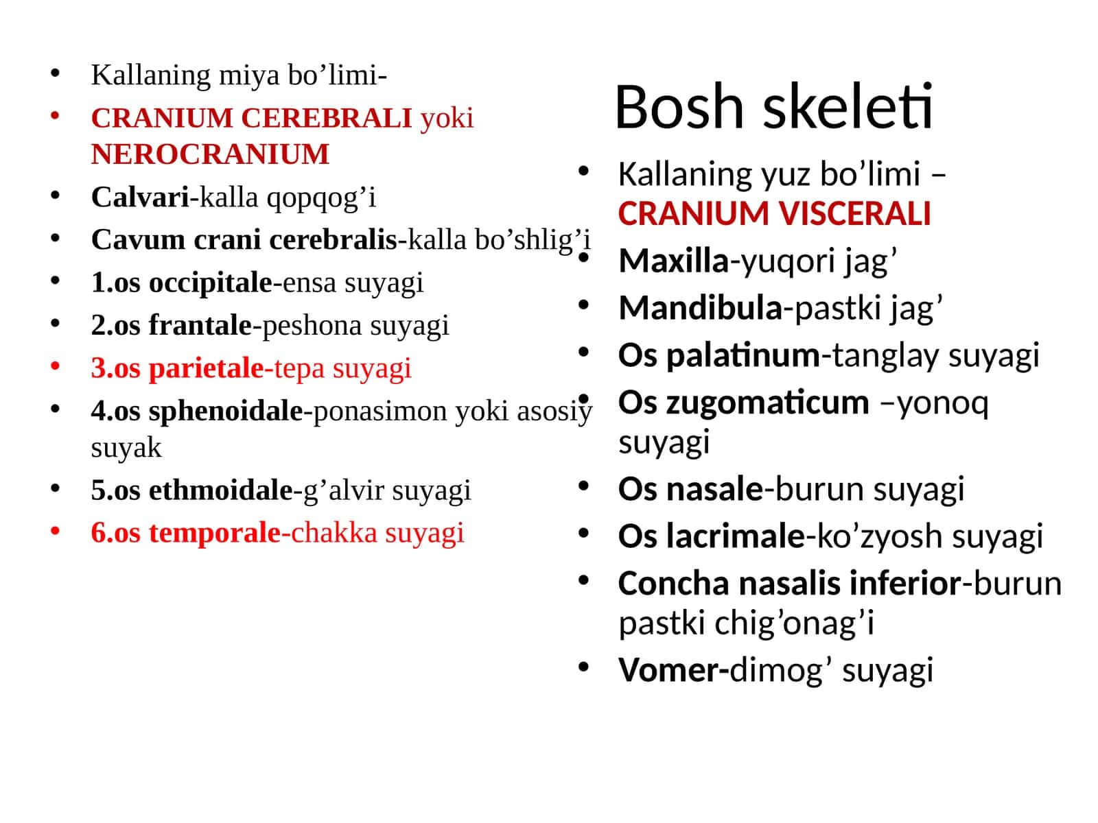 Boshskeleti 1