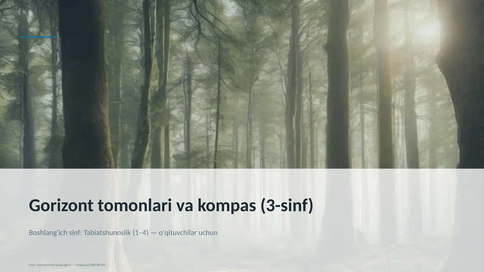Gorizont tomonlari va kompas (3-sinf) 1