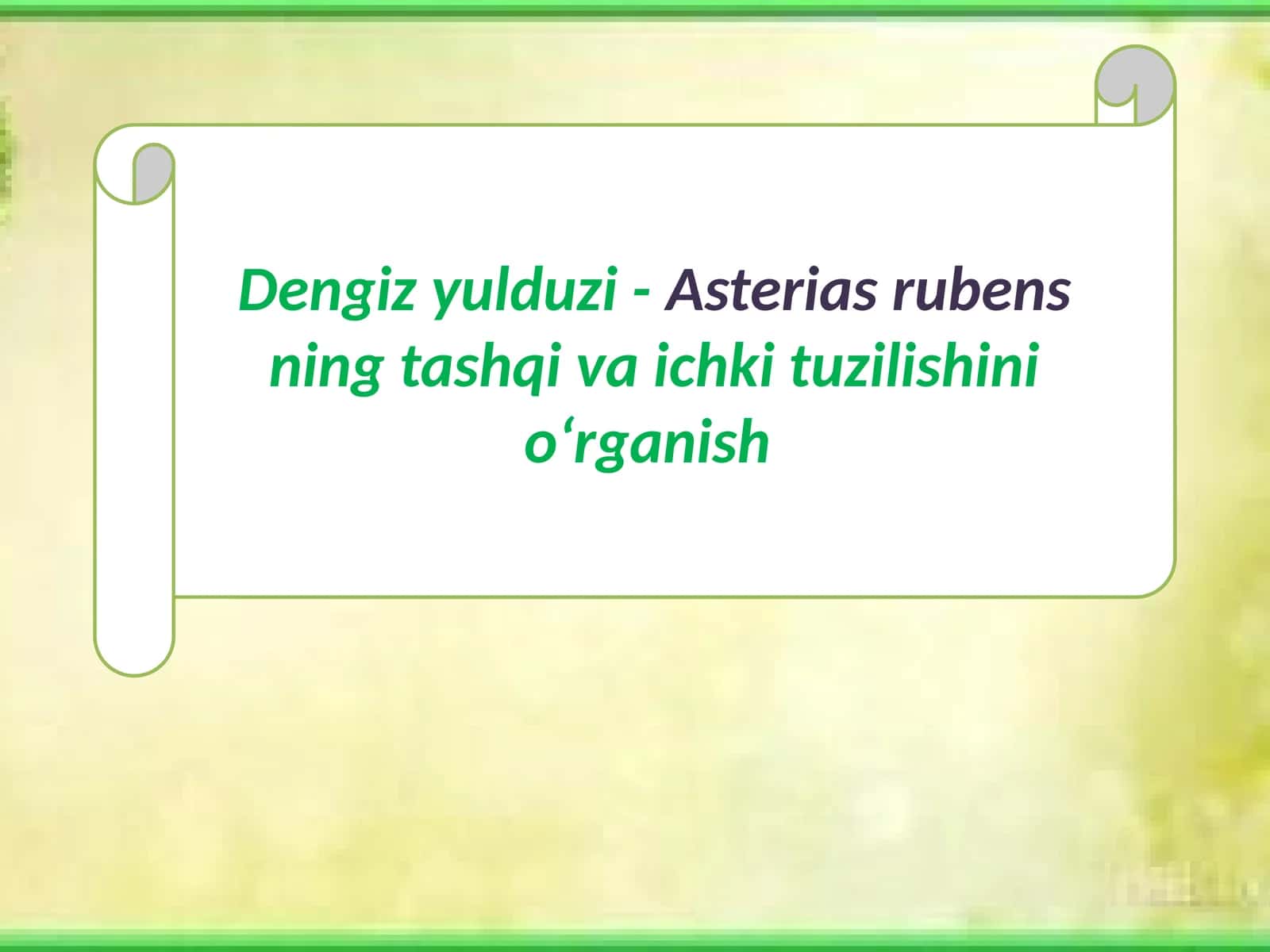 Dengizyulduzi-Asteriasrubensningtashqivaichkituzilishinio‘rganish 1
