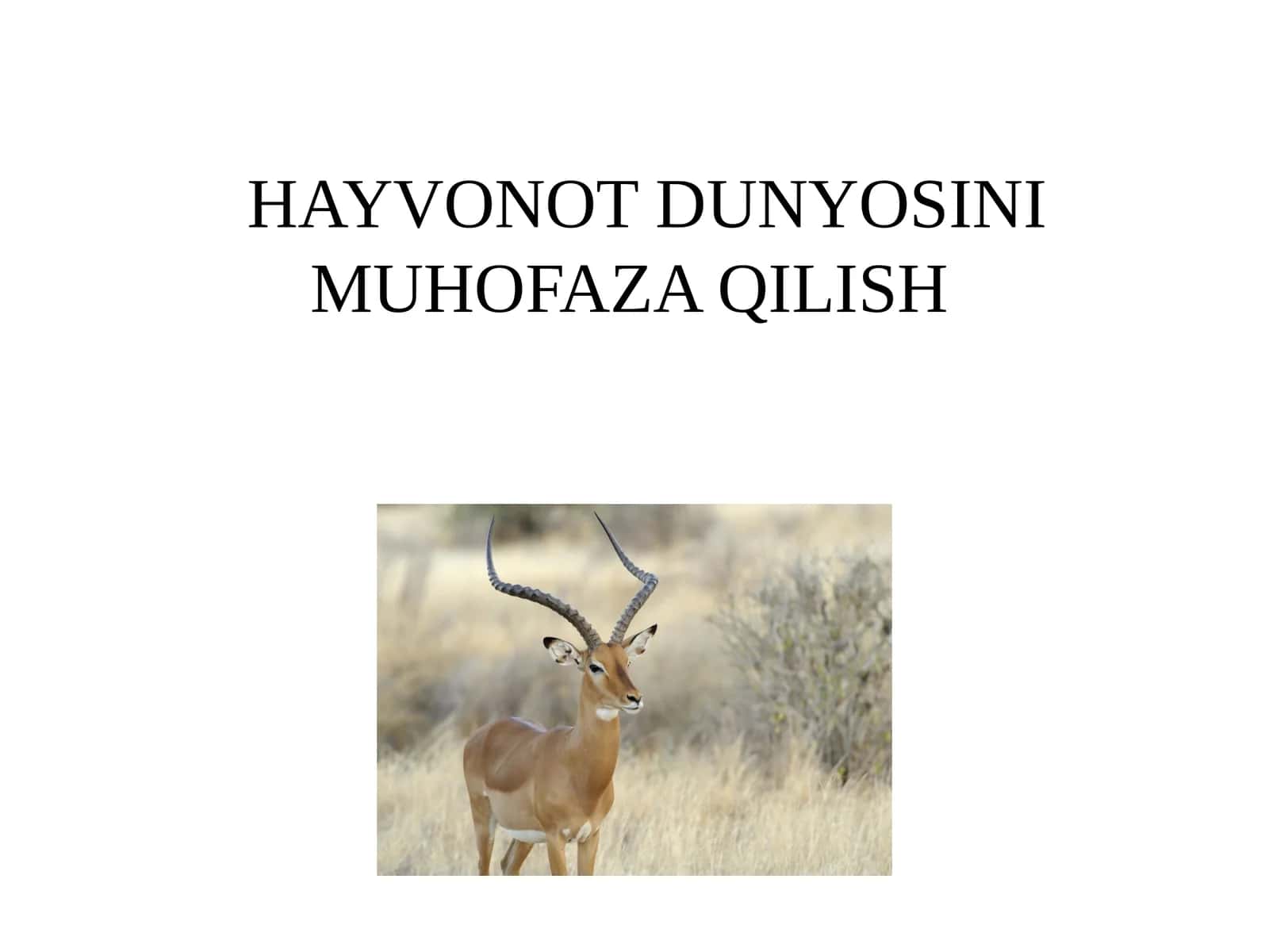 Hayvonot dunyosini muhofaza qilish 1