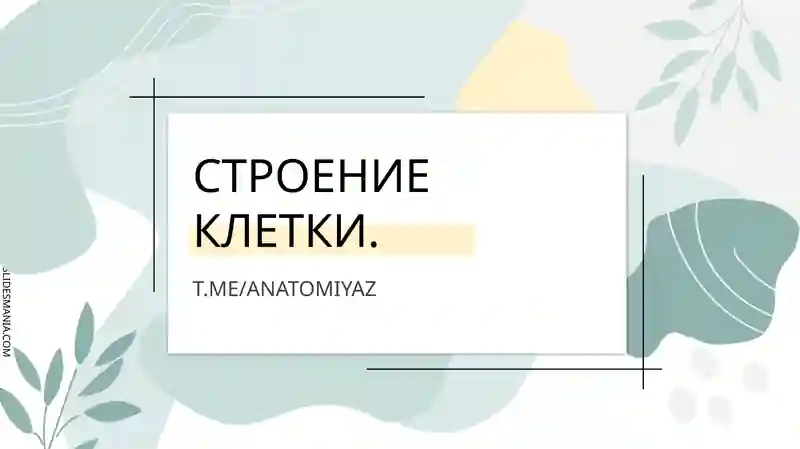 СТРОЕНИЕ КЛЕТКИ