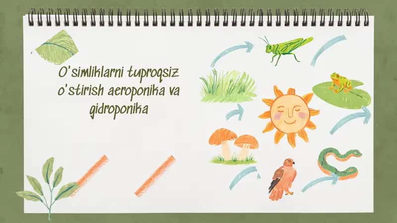 O'simliklarni tuproqsiz o'stirish aeroponika va gidroponika 1