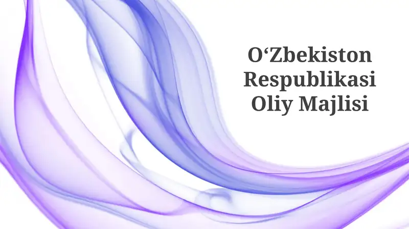 Oʻzbekiston Respublikasi Oliy Majlisi 1