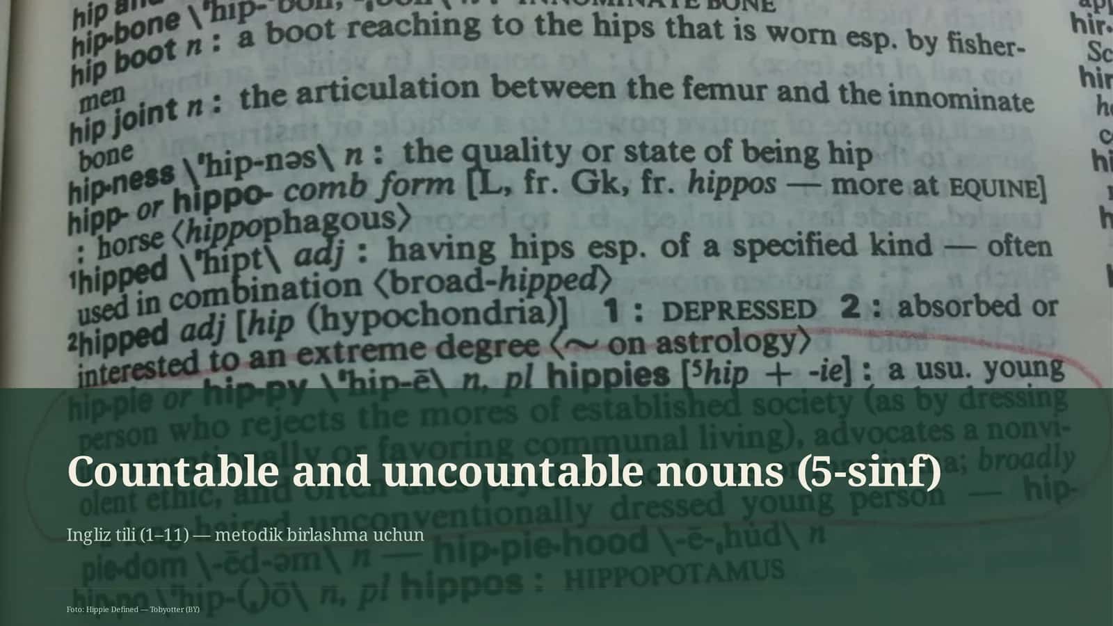 Countable and uncountable nouns (5-sinf) 1