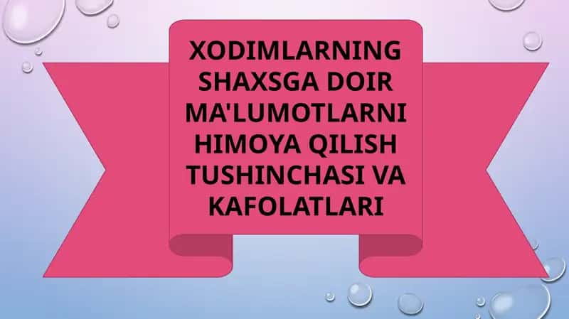 Xodimlarning Shaxsga Doir Ma'lumotlarni Himoq Qilish Tushunchasi va Kafolatlari 1