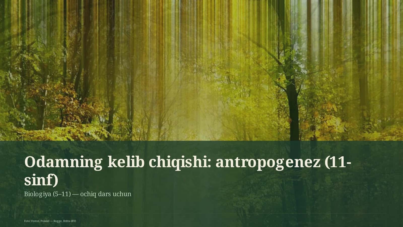 Odamning kelib chiqishi: antropogenez (11-sinf) 1
