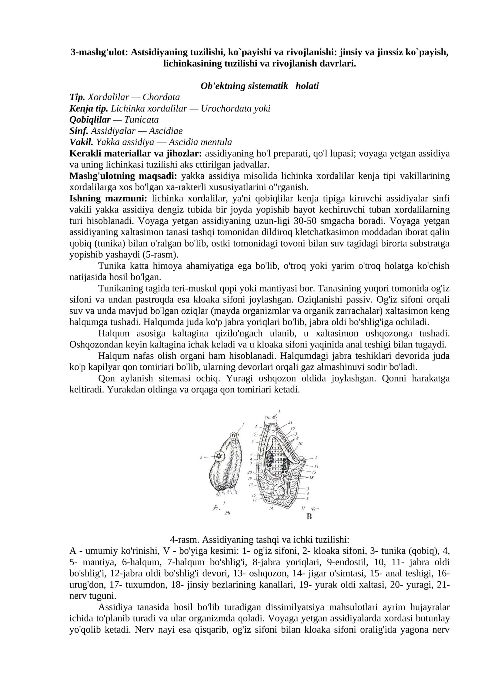 Astsidiyaning tuzilishi, ko`payishi va rivojlanishi 1