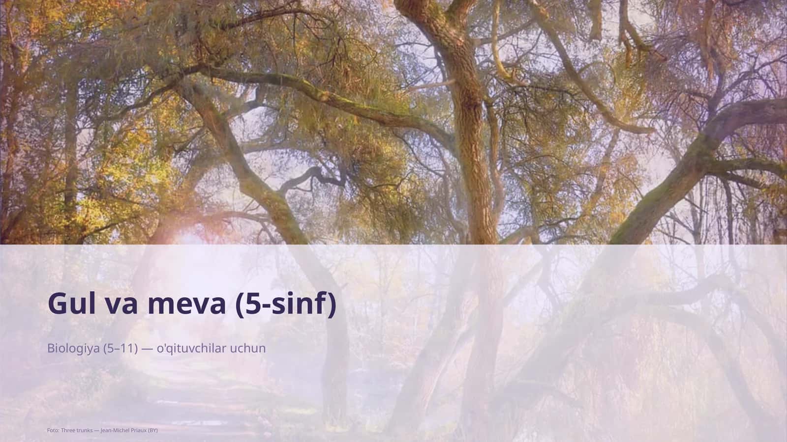 Gul va meva (5-sinf) 1
