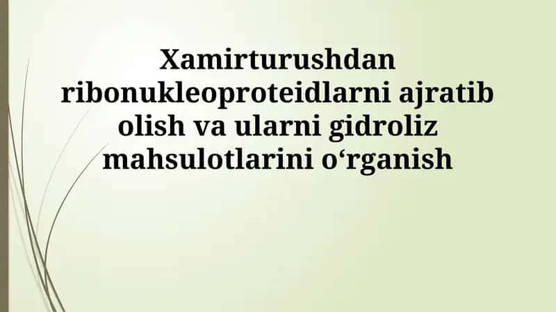 Ribonukleoproteinlarning Gidrolizi: Usullari va Mahsulotlarini Tahlil Qilish 1