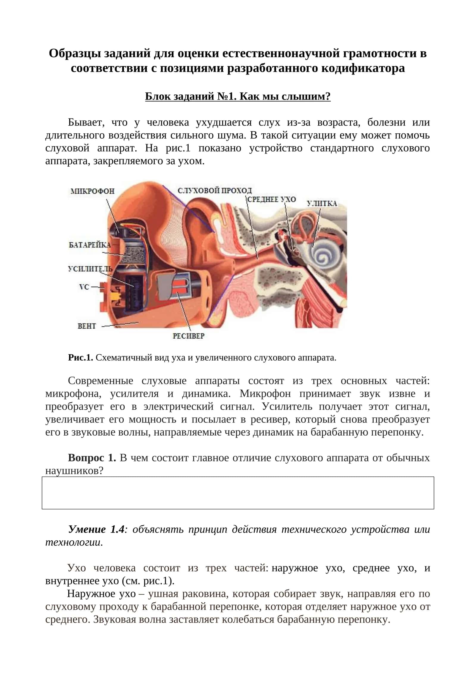 Блок заданий №1. Как мы слышим? 1