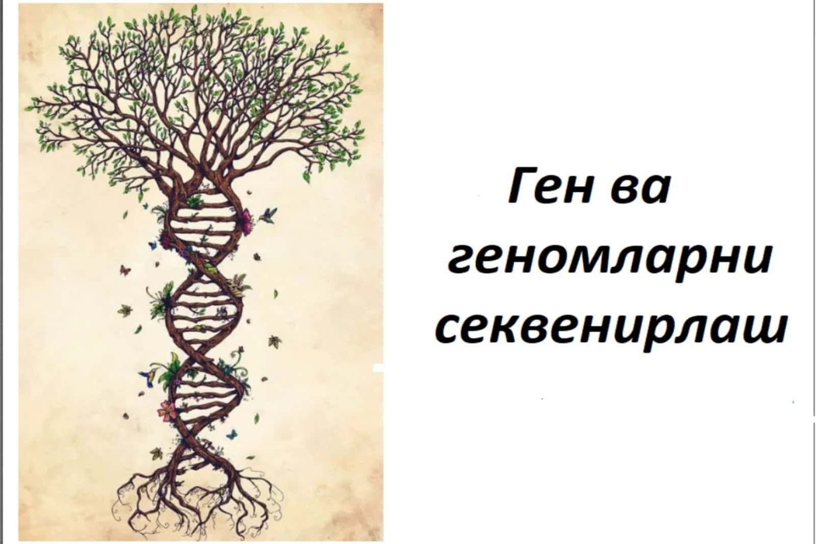 Секвенирлаш 1
