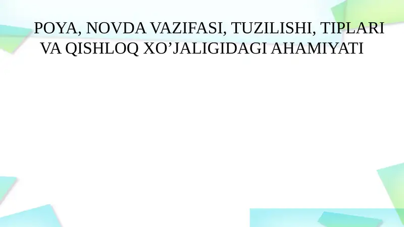 Novda 1