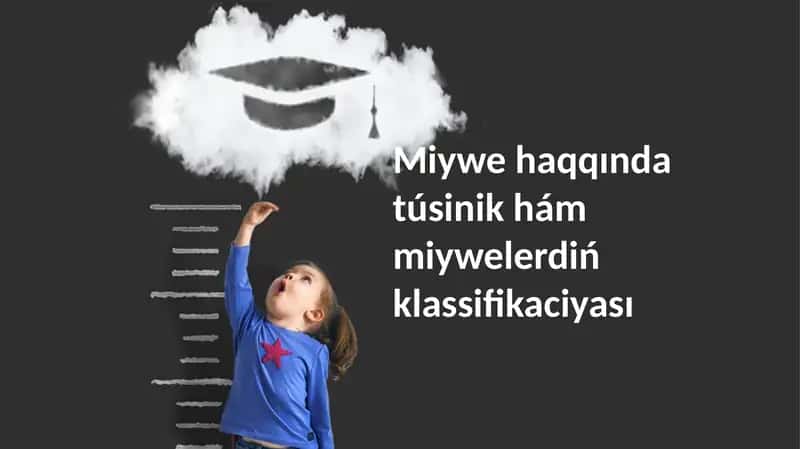 Miywelerdiń klassifikaciyası 1