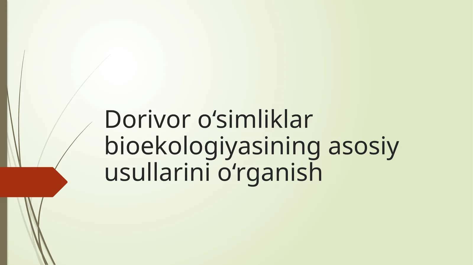 Dorivor o‘simliklar bioekologiyasining asosiy usullarini o‘rganish 1