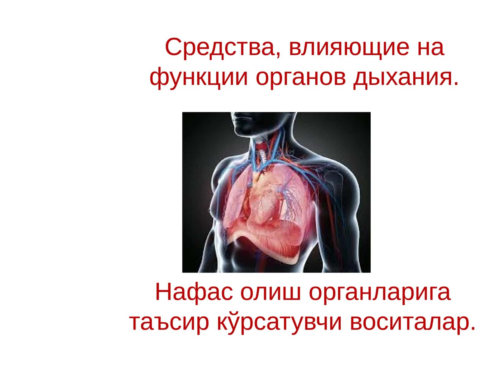 Средства, влияющие на функции органов дыхания 1