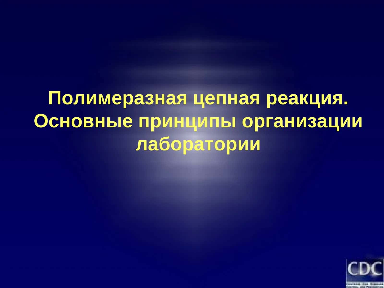 Полимеразная цепная реакция 1