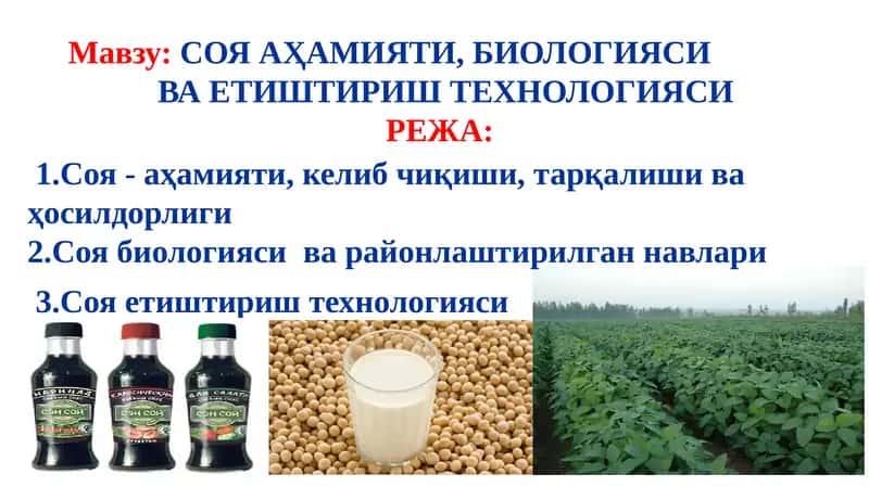 СОЯ АҲАМИЯТИ, БИОЛОГИЯСИВА ЕТИШТИРИШТЕХНОЛОГИЯСИ 1