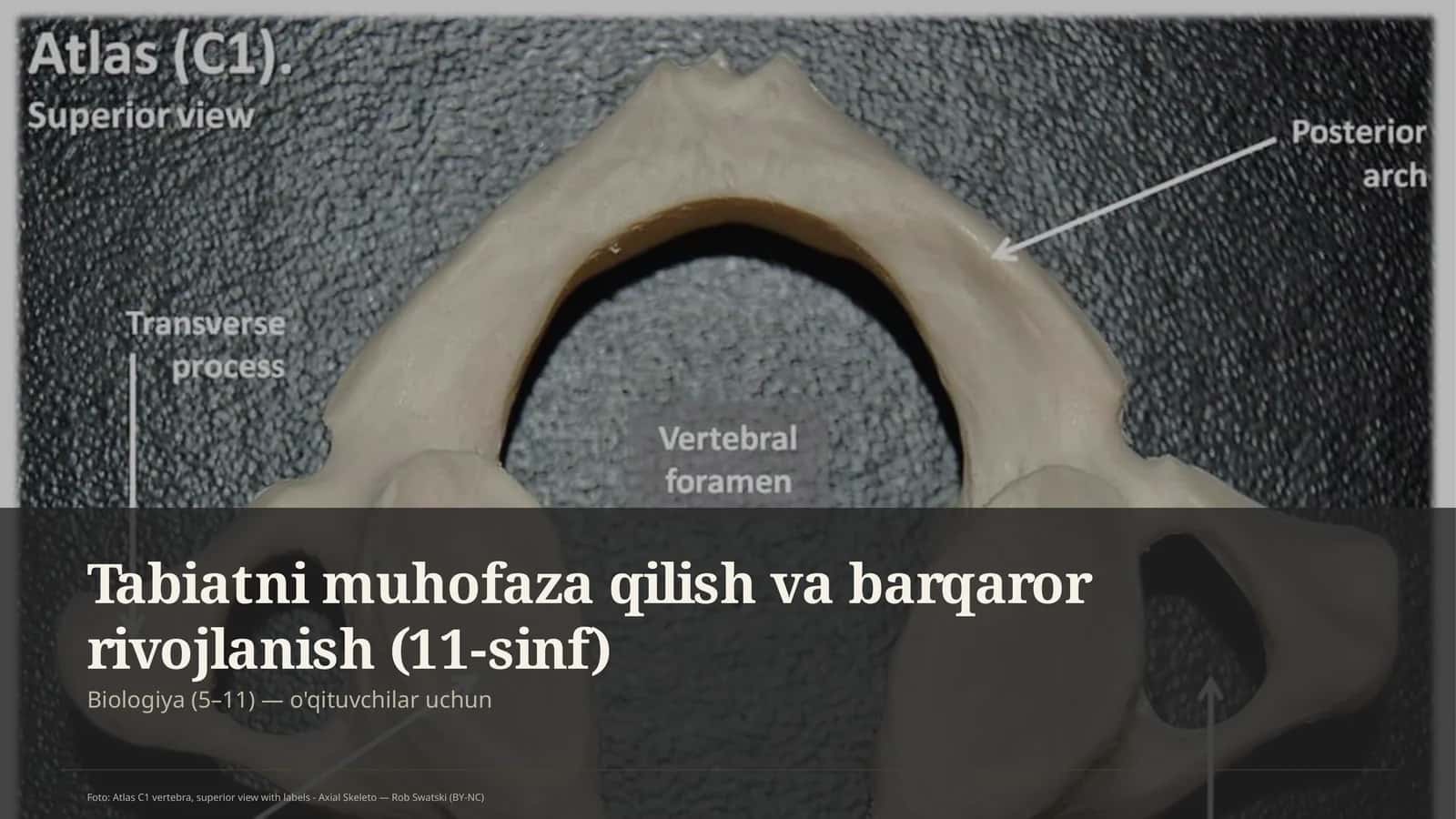 Tabiatni muhofaza qilish va barqaror rivojlanish (11-sinf) 1