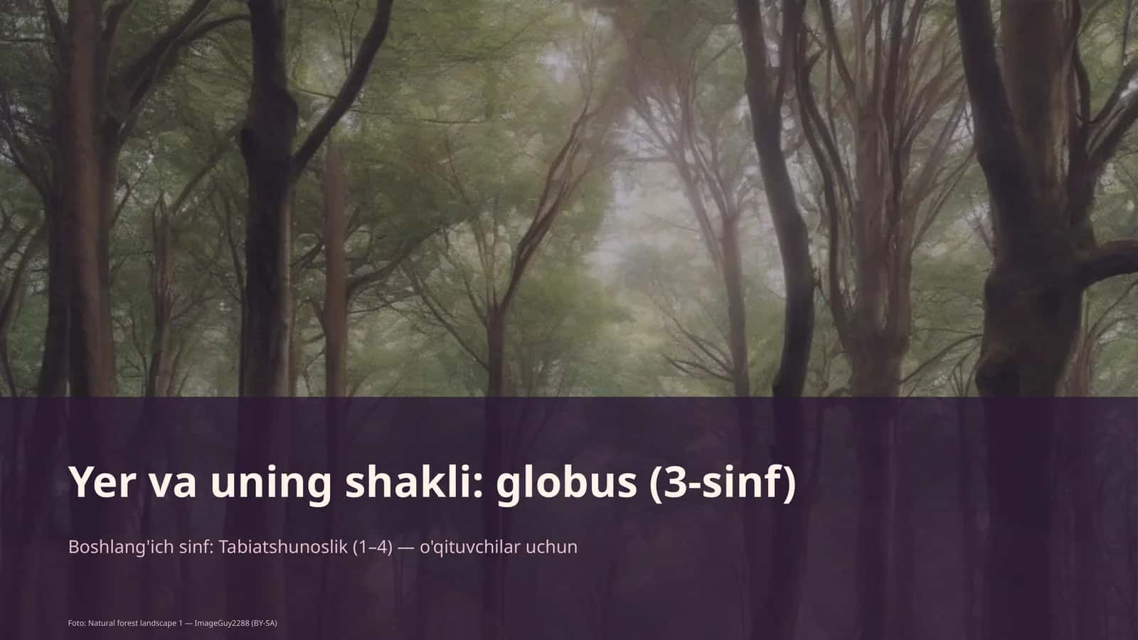 Yer va uning shakli: globus (3-sinf) 1