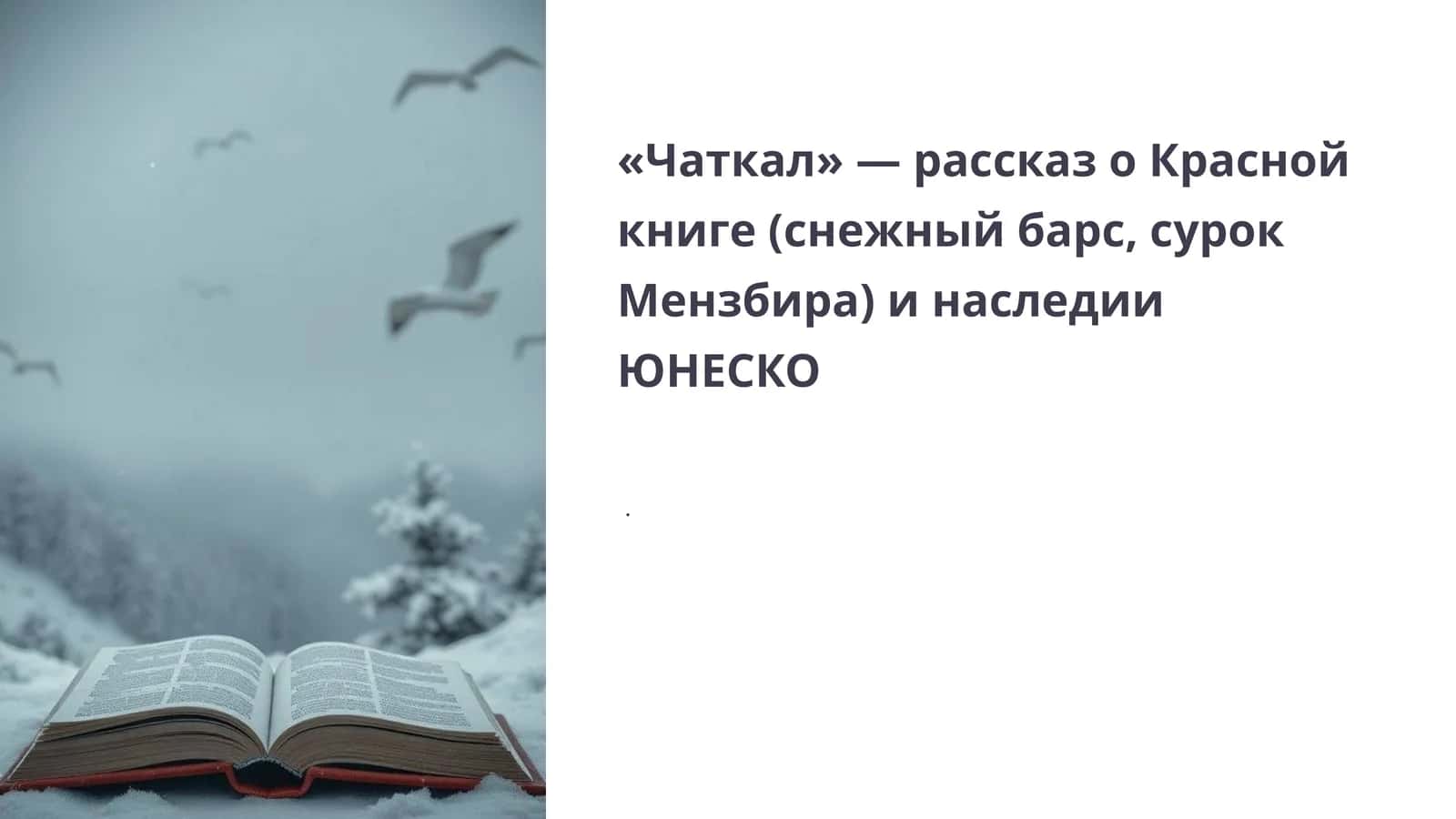 Чаткал 1