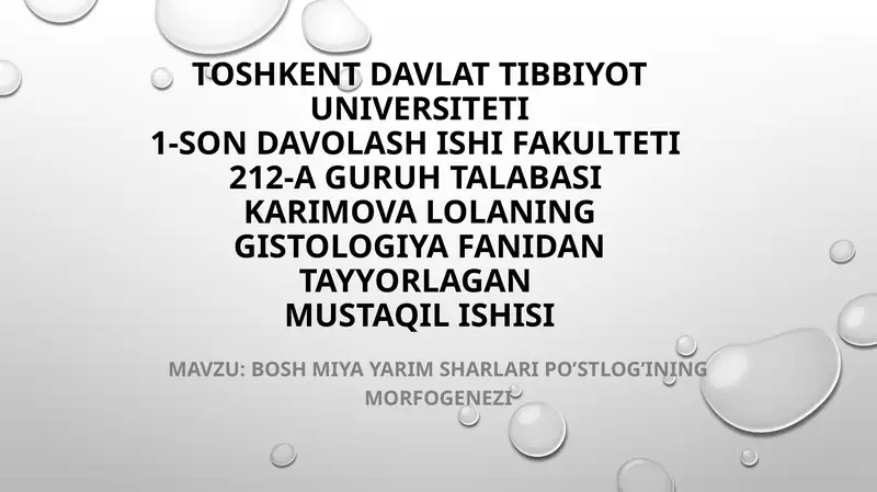 bosh miya po'stlog'i gistologiyasi 1